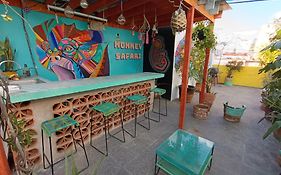 Monkey Safari Hostel